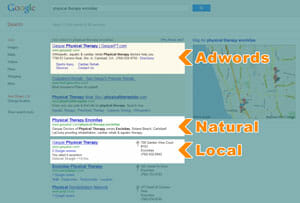 Three Areas of a Google Search