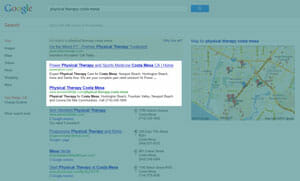 Natural/Organic Search on Google